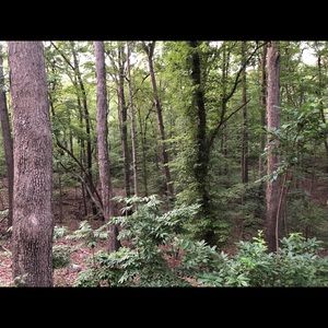 Meet your Posher, Chelsea